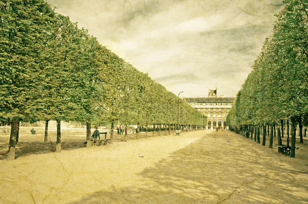 雕刻"王宫"在巴黎的花园里的树木小巷 — 图库照片