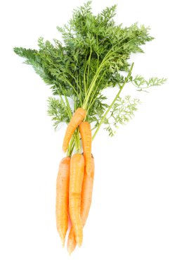 Havuçlu sebze yaprakları ile