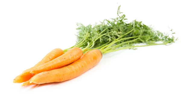 Zanahoria vegetal con hojas —  Fotos de Stock