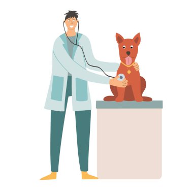 Veteriner köpeği steteskopla inceliyor, vektör illüstrasyonu..
