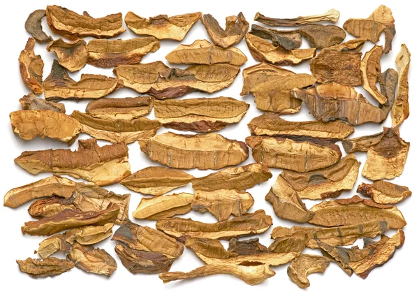 Dried Cepes. — Stock Photo, Image