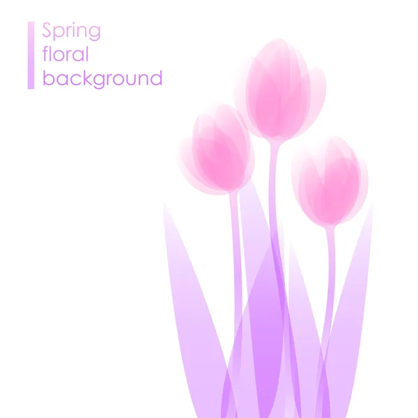 Hermosos tulipanes — Vector de stock