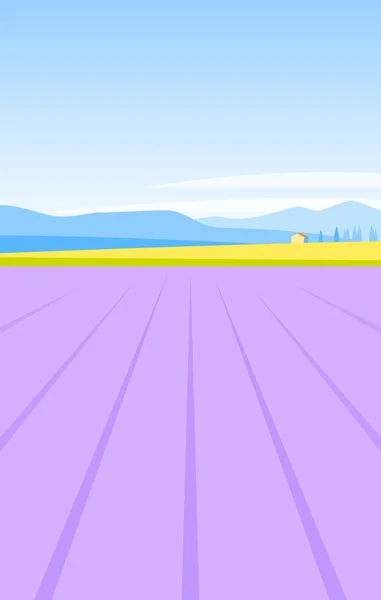 Provence lavendel veld — Stockvector