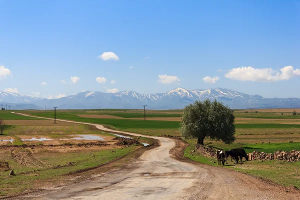 Paisaje rural en Turquía — Foto de Stock