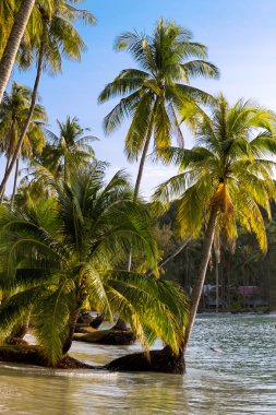Beach koh kood Island, Tayland tarihinde