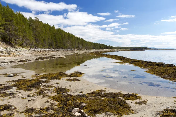 Die weiße Meeresküste bei Ebbe, die Halbinsel Kola, Russland — Stockfoto