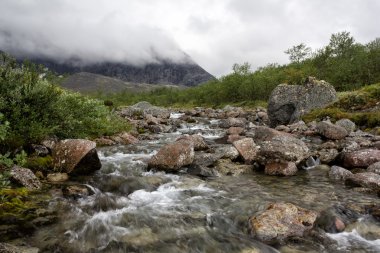 petrelius Nehri, khibiny, Rusya Federasyonu