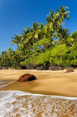 Cola beach, Güney goa, Hindistan