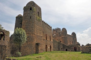 Fasil ghebbi Kalesi, gondar, Etiyopya
