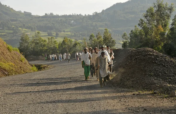 Δρόμο προς debark, Βόρεια Αιθιοπία — Φωτογραφία Αρχείου