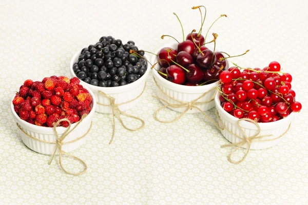 Wild berries in bowls — Stock Photo, Image