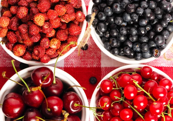 Waldbeeren in Schalen — Stockfoto