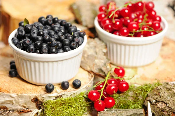 Wild berries in bowls — Stock Photo, Image