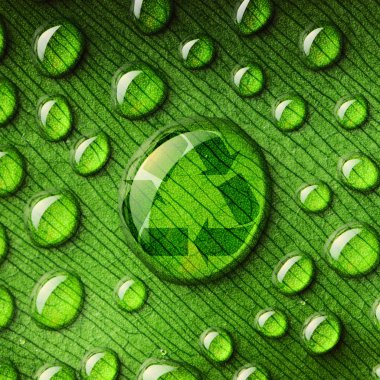 yaprak ve geri dönüşüm logosu üstünde su damlaları