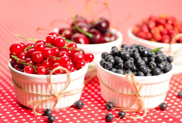 Wild berries in bowls — Stock Photo, Image