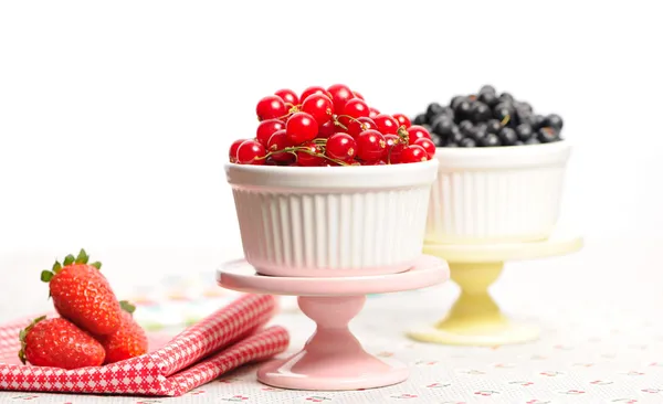 Waldbeeren in Schalen — Stockfoto