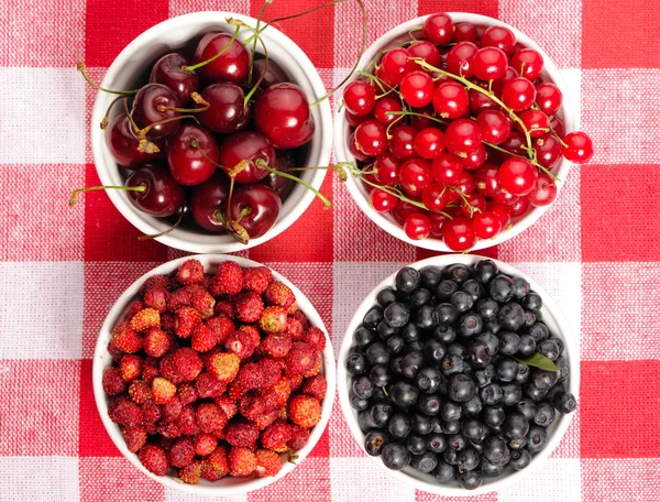 Wild berries in bowls — Stock Photo, Image