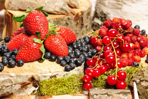 Wild berries — Stock Photo, Image