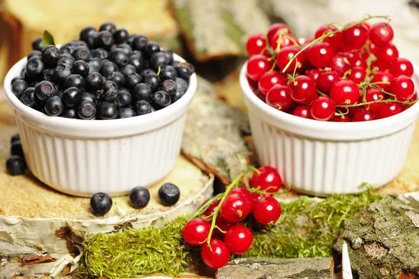 Wild berries in bowls — Stock Photo, Image