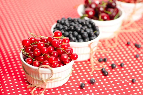 Wild berries in bowls — Stock Photo, Image