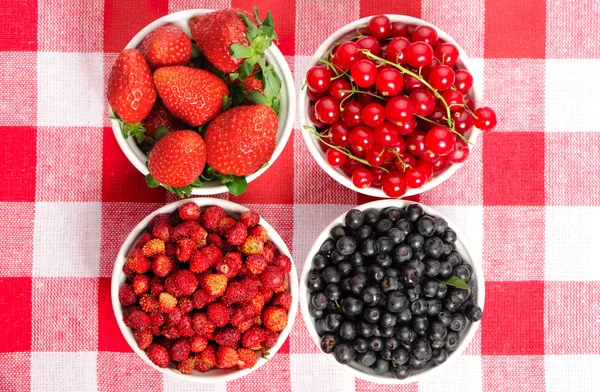 Wild berries in bowls — Stock Photo, Image