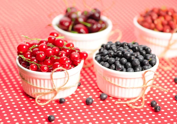 Wild berries in bowls — Stock Photo, Image