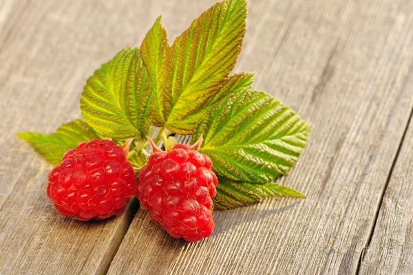 Framboise sur table en bois — Photo