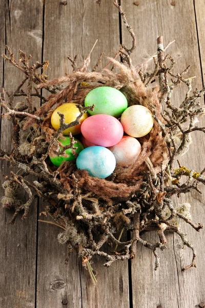 Colored easter eggs in nest — Stock Photo, Image