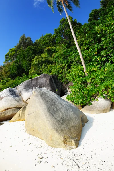 Beautiful beach — Stock Photo, Image