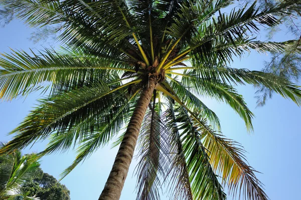 Praia bonita — Fotografia de Stock