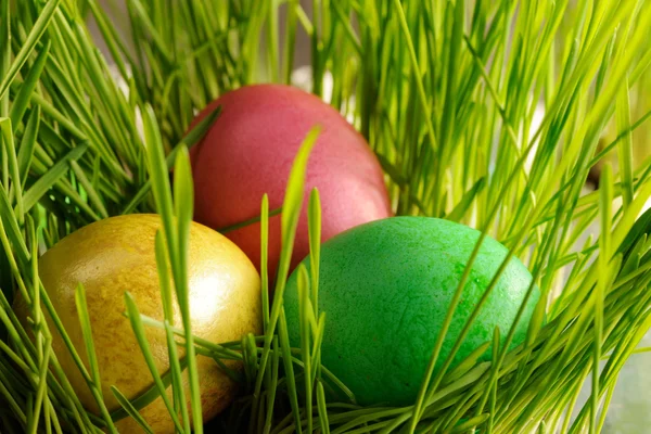 Colored easter eggs — Stock Photo, Image