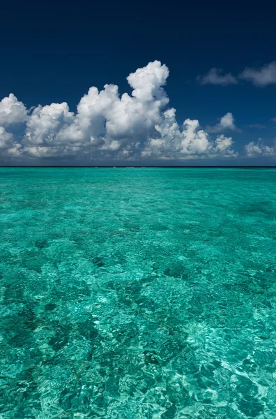 Kristallklares türkisfarbenes Wasser am tropischen Strand — Stockfoto