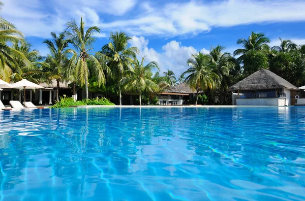 Luxo piscina tropical — Fotografia de Stock