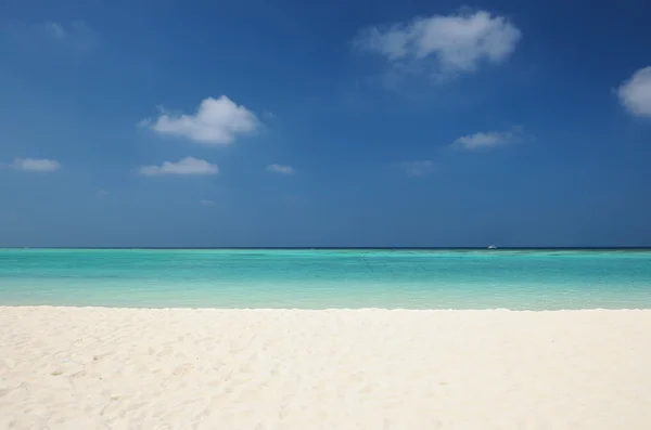 热带沙滩躺椅 — Stock fotografie