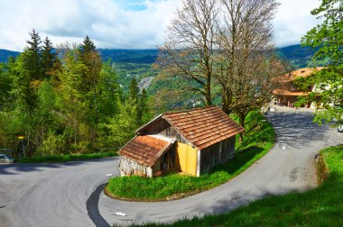 Swiss chalet adlı Alpler