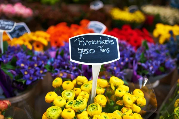 Amsterdamski targ kwiatów — Zdjęcie stockowe