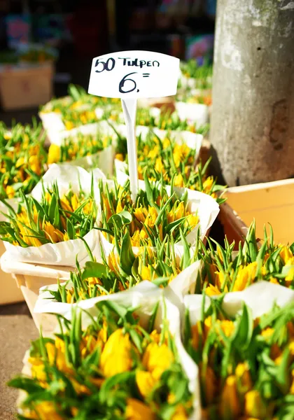 Amsterdam mercado de flores — Fotografia de Stock