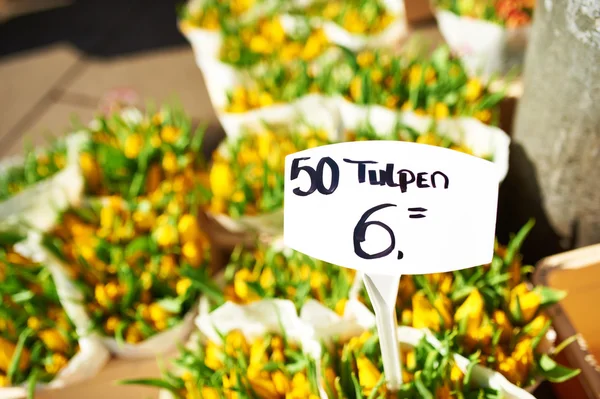 Amsterdam flower market — Stock Photo, Image