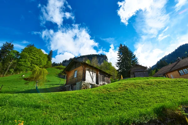 Chalé suíço em alpes — Fotografia de Stock