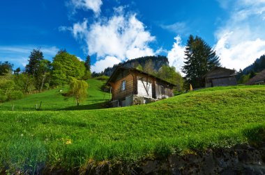 Swiss chalet adlı Alpler