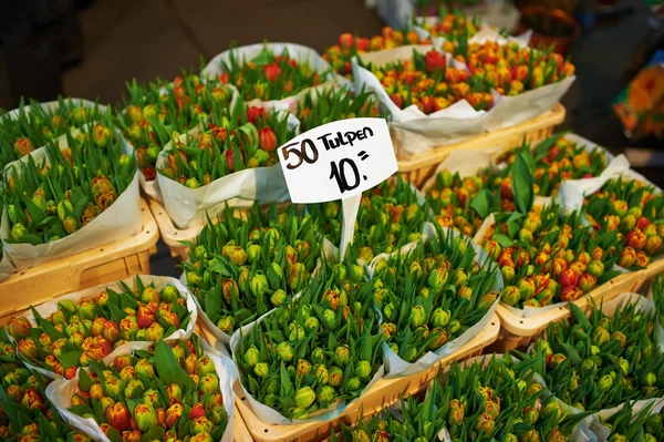 Amsterdams blomstermarknad — Stockfoto