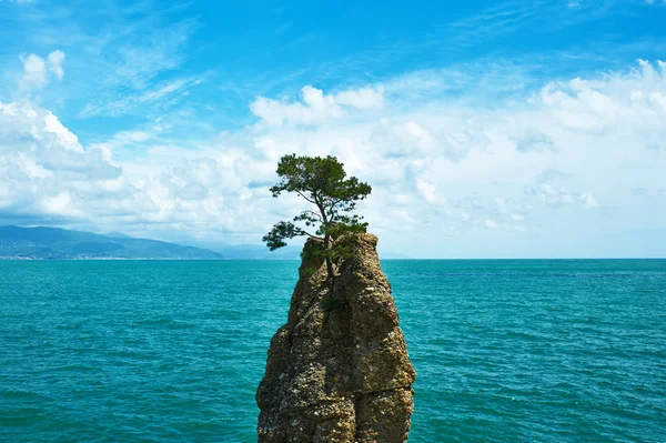 Costa de Liguria en Italia — Foto de Stock