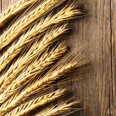 Çavdar spikelets ahşap arka plan üzerinde