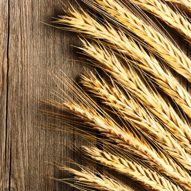 Çavdar spikelets ahşap arka plan üzerinde