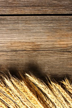 Çavdar spikelets ahşap arka plan üzerinde