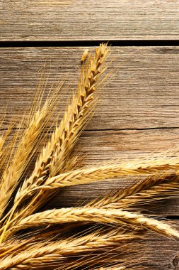 Çavdar spikelets ahşap arka plan üzerinde