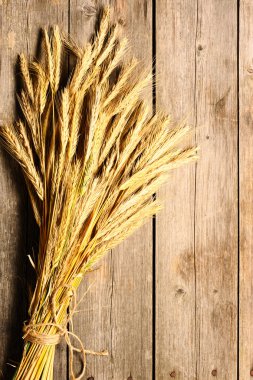 Çavdar spikelets ahşap arka plan üzerinde