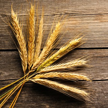 Çavdar spikelets ahşap arka plan üzerinde