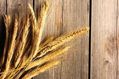 Çavdar spikelets ahşap arka plan üzerinde