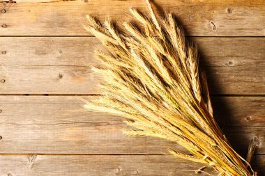 Çavdar spikelets ahşap arka plan üzerinde